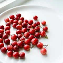 Arándano rojo