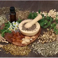 Hierbas y extractos vegetales