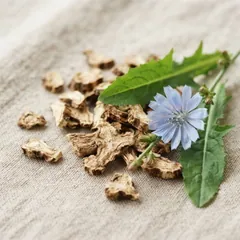 Inulina